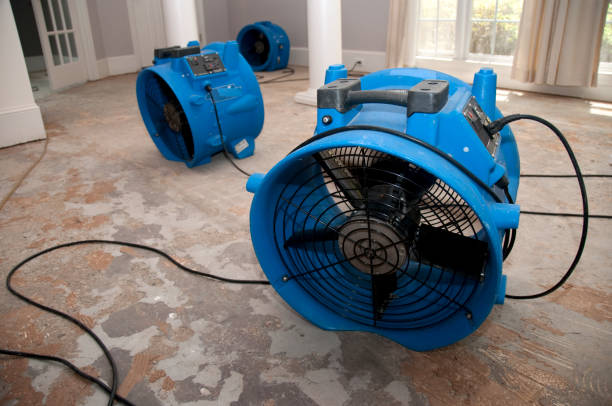 Best Water damage cleanup near me  in Mcadenville, NC