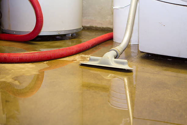 Best Local water damage restoration  in Mcadenville, NC
