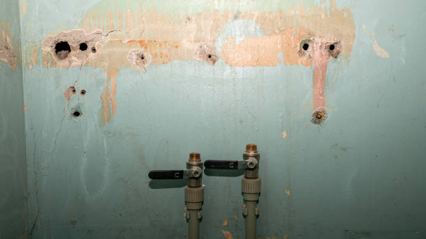 Best 24-hour water damage restoration  in Mcadenville, NC