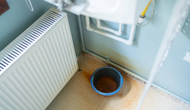Best Ceiling water damage repair  in Mcadenville, NC